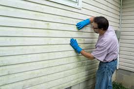 Best Insulated Siding Installation  in Maypearl, TX